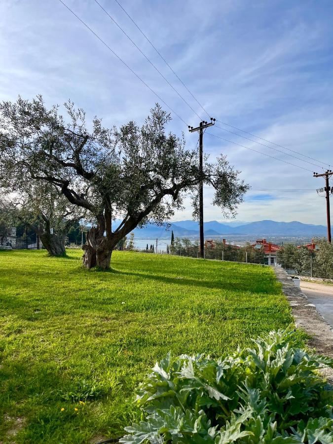 Ενtree Guest House Near Palamidi Castle Návplio Kültér fotó